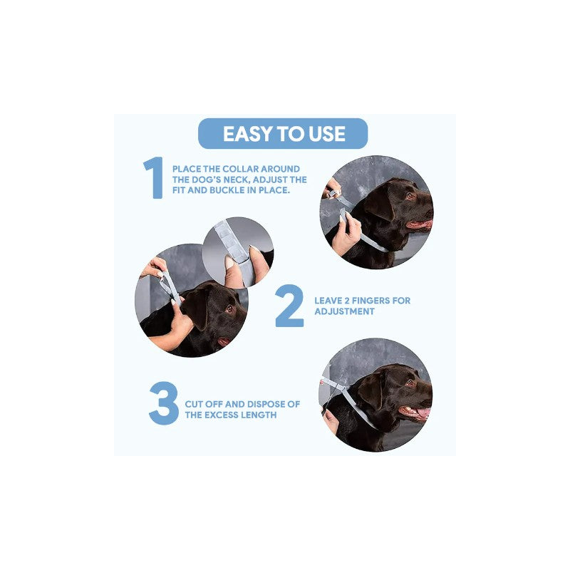 Setesto Repellent Flea for Small Dog Collars Treatment with Clips Reflectors Adjustable Design