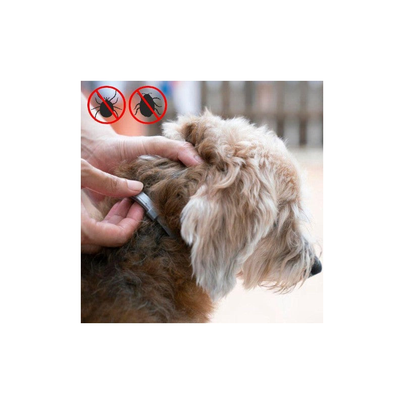 Setesto Repellent Flea for Small Dog Collars Treatment with Clips Reflectors Adjustable Design