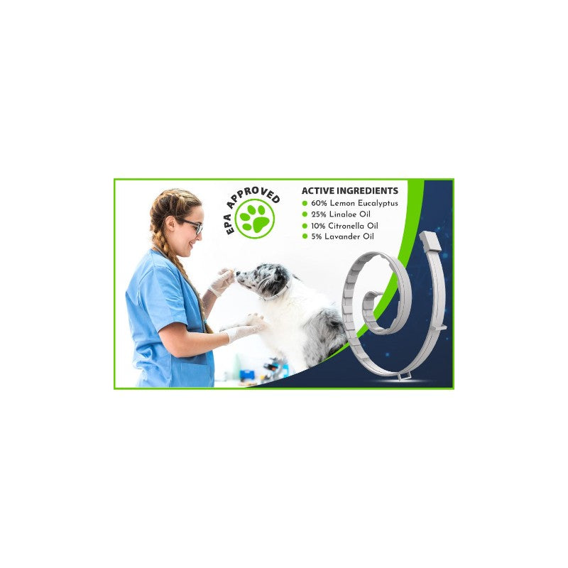Setesto Repellent Flea for Small Dog Collars Treatment with Clips Reflectors Adjustable Design