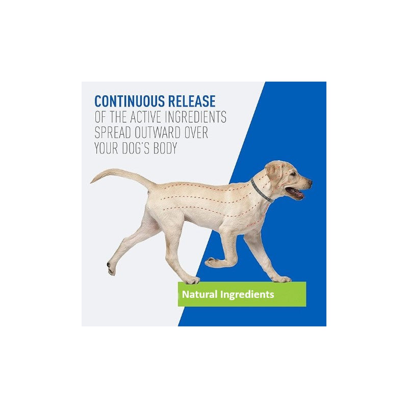 Setesto Repellent Flea Dog Collars Treatment with Clips Reflectors Suitable for Large Dogs Adjustable Design